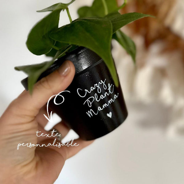 pot de fleur personnalisé, pot de fleur noir, cache pot noir, pot personnalisable, pot personnalisé, cadeau plant lover, cadeau plant addict, plant mama, crazy pant lady, plant dad, cadeau noel, cadeau anniversaire, cadeau original made in france