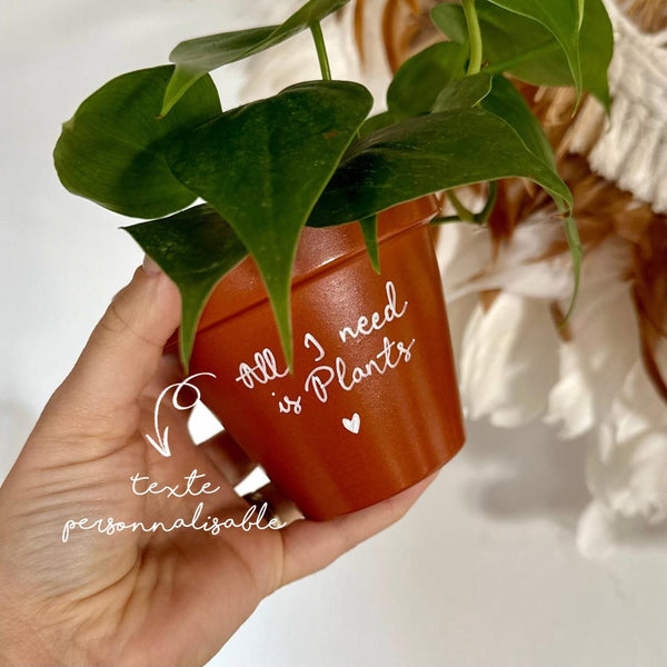 pot de fleur personnalisé, pot de fleur terre cuite, cache pot terracotta, pot personnalisable, pot personnalisé, cadeau plant lover, cadeau plant addict, all i need is plants, cadeau noel, cadeau anniversaire, cadeau original made in france naturel