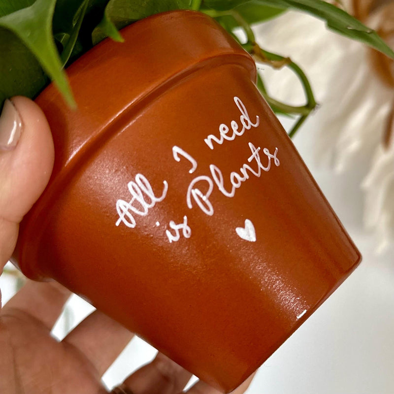 pot de fleur personnalisé, pot de fleur terre cuite, cache pot terracotta, pot personnalisable, pot personnalisé, cadeau plant lover, cadeau plant addict, all i need is plants, cadeau noel, cadeau anniversaire, cadeau original made in france naturel