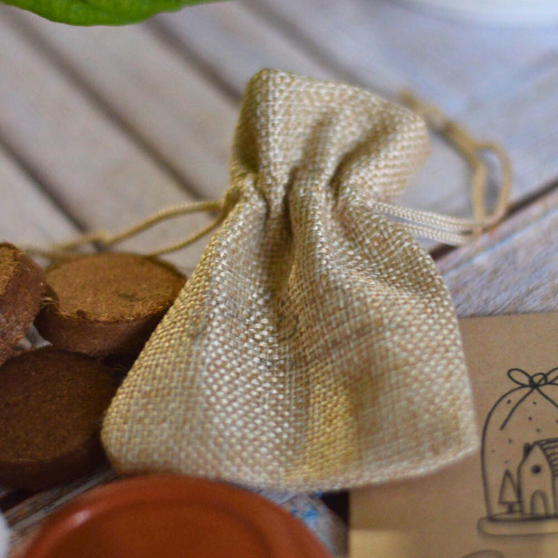 kit à planter pot graines, me fais pas crever, pot de fleur personnalisé, graines la fabrique à sachets, galettes fibres de coco, pot avec coupelle, cadeau original plant lover, idee cadeau plant addict joyeux noel bonne année